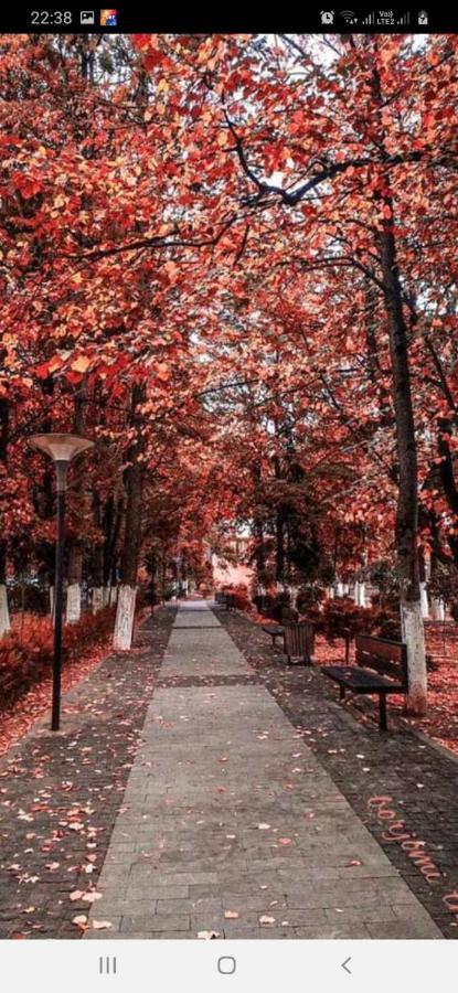 Gamsakhurdia Street Bordjomi Extérieur photo